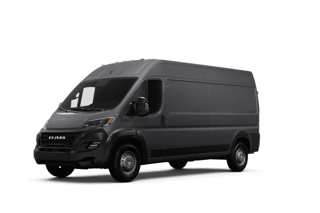 Ram false - Front view Ram false - Front view